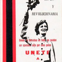 Por una España joven y revolucionaria